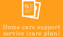 Home care support service (care plan)